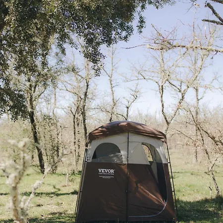 Wildercamp * Almeida