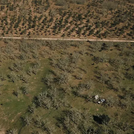 Οργανωμένο κάμπινγκ Wildercamp