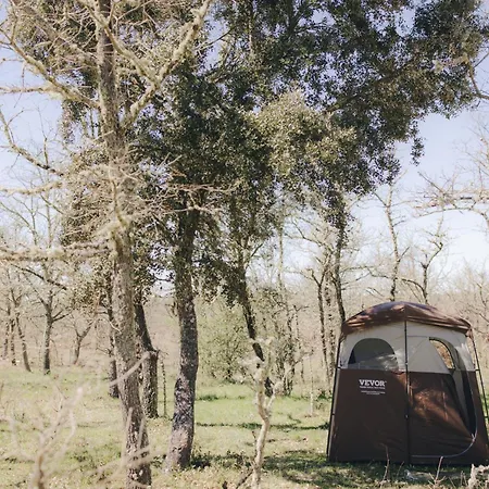 Wildercamp