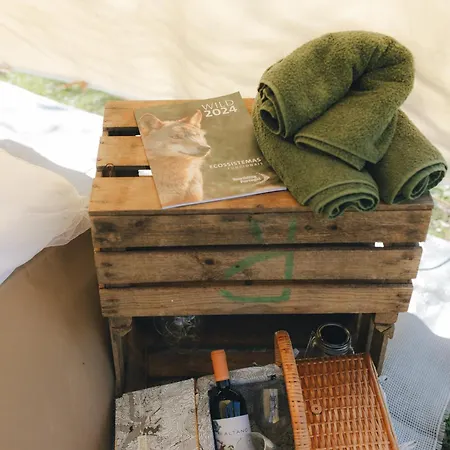 Luxury tent Wildercamp