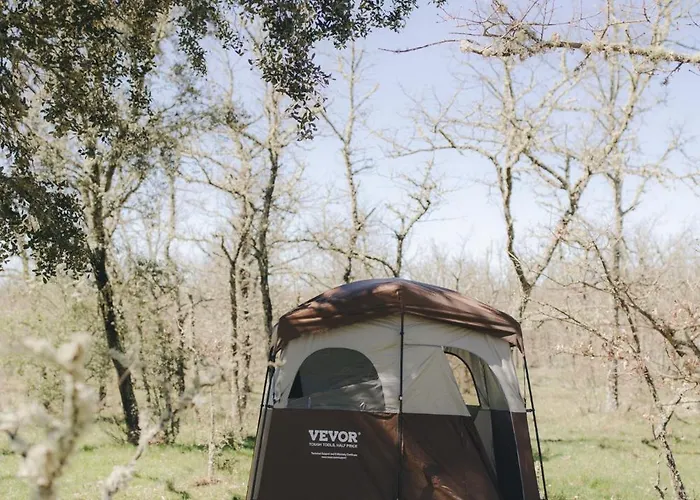 Wildercamp * Almeida