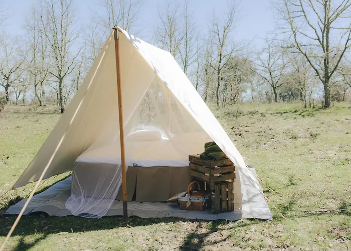 Wildercamp * Almeida